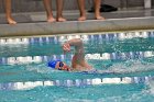 Swimming & Diving vs Babson  Swimming & Diving vs Babson College. - Photo by Keith Nordstrom : Wheaton, Swimming